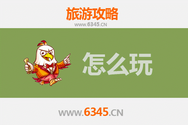 节假日濮阳台前旅游全攻略：古韵风情与自然奇观完美体验